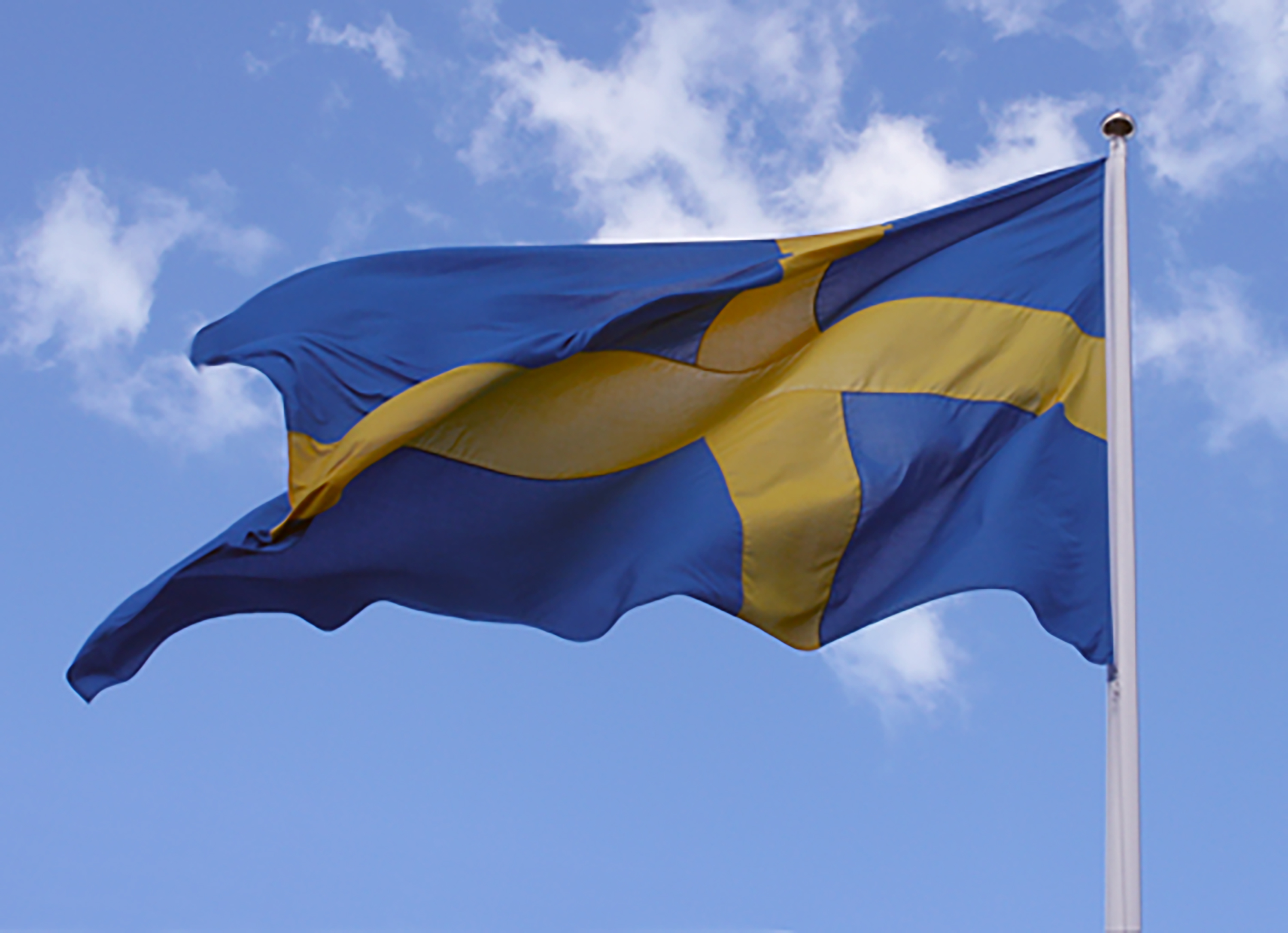 Flag 76008